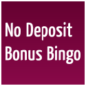 No Deposit Bonus Bingo