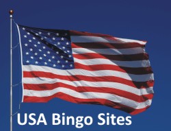 USA Bingo 2023